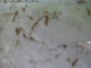 江府町佐川