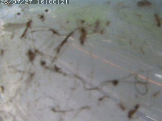 江府町佐川