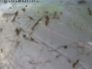 江府町佐川