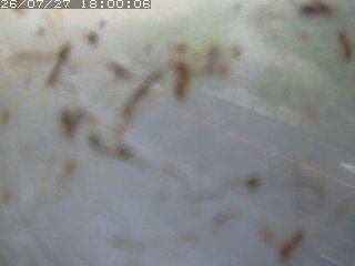 江府町佐川