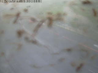 江府町佐川