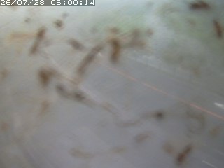 江府町佐川