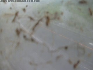 江府町佐川