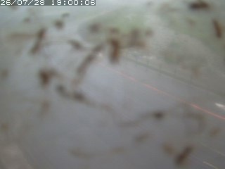 江府町佐川