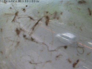 江府町佐川