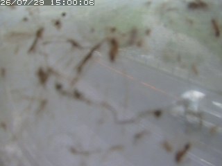 江府町佐川