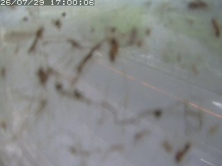 江府町佐川