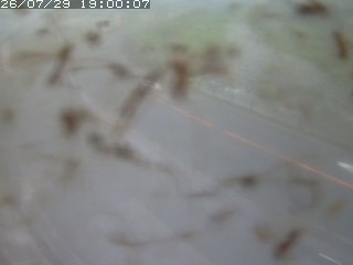 江府町佐川