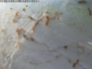 江府町佐川