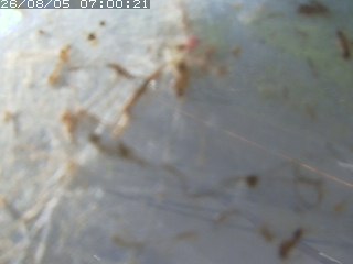 江府町佐川