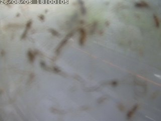 江府町佐川
