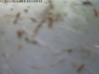 江府町佐川