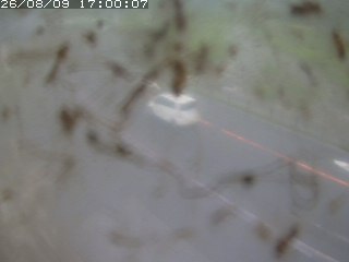 江府町佐川