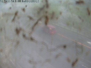 江府町佐川