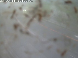 江府町佐川