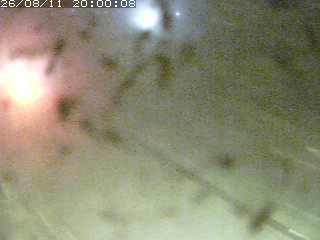 江府町佐川