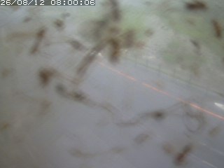 江府町佐川