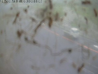 江府町佐川