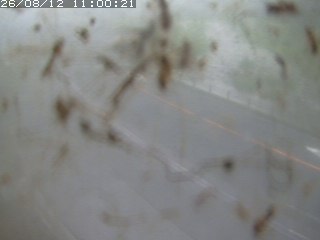 江府町佐川