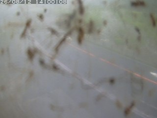 江府町佐川