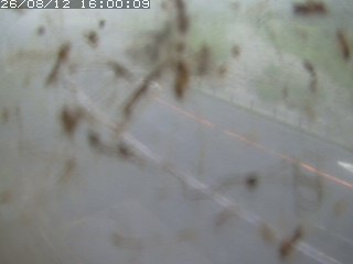 江府町佐川