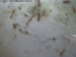 江府町佐川