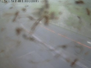 江府町佐川
