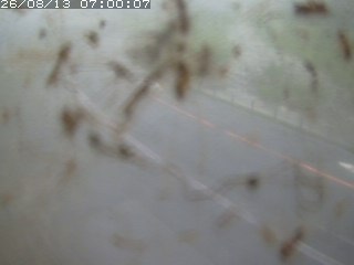 江府町佐川
