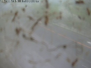 江府町佐川