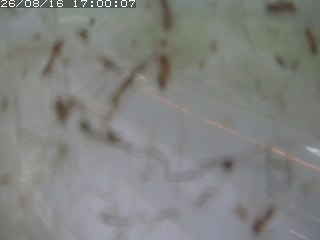 江府町佐川