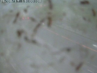 江府町佐川