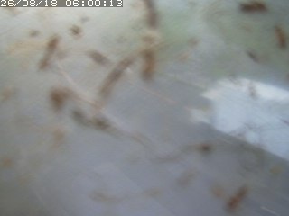 江府町佐川
