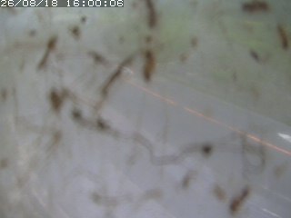 江府町佐川
