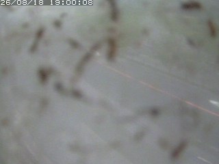江府町佐川