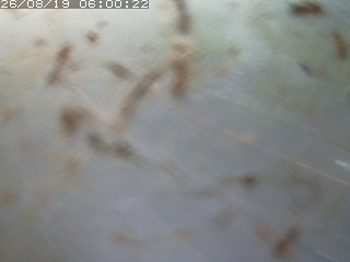 江府町佐川