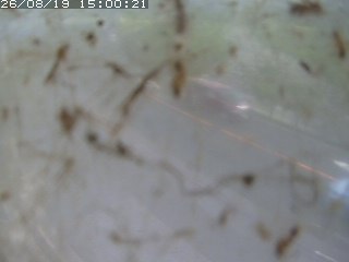 江府町佐川
