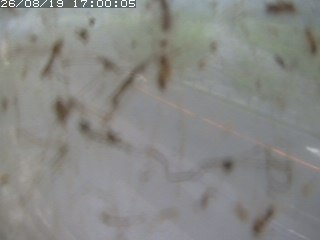 江府町佐川