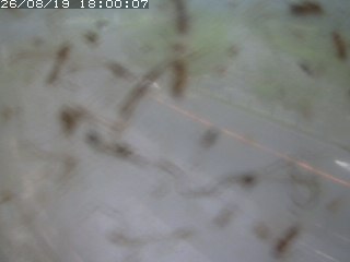 江府町佐川