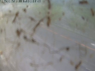 江府町佐川