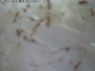 江府町佐川