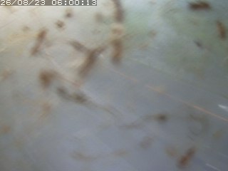 江府町佐川