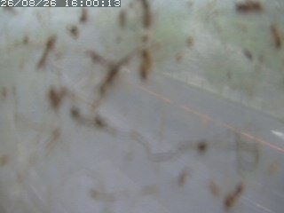 江府町佐川