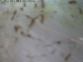 江府町佐川