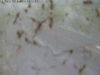 江府町佐川