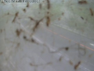 江府町佐川