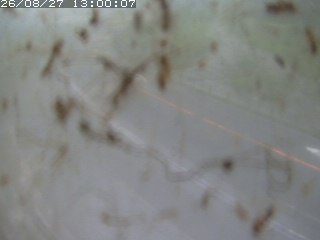 江府町佐川