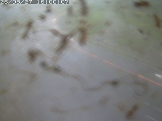 江府町佐川