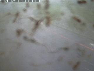 江府町佐川