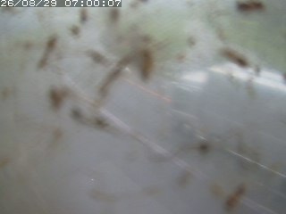 江府町佐川