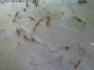 江府町佐川